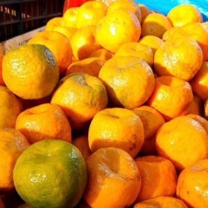 Nagpur Orange 1 kg
