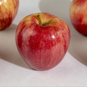 Apple Gala (5pc)